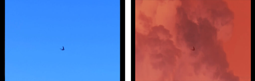 strip-silence-short-film-louiza-ntourou-stills