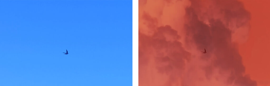 strip-silence-short-film-louiza-ntourou-stills